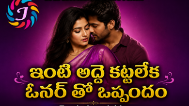 Inti Adde Kattaleka Owner Tho Oppandam Telugu Story Series Category Banner