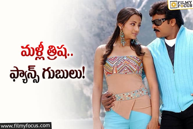 చిరంజీవి కొత్త సినిమాలో త్రిష.. ఆల్‌మోస్ట్‌ ఓకే అంటున్నారు.. ఏ సినిమా అంటే?