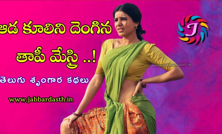 Aada Kulini Dengina Thaapi Mesthri Telugu Story Cover Image