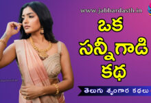 Oka Sunnygaadi Katha