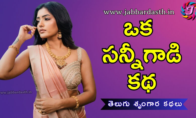 Oka Sunnygaadi Katha