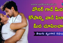 owner gaadi pai kopam tho vadi pellam pai