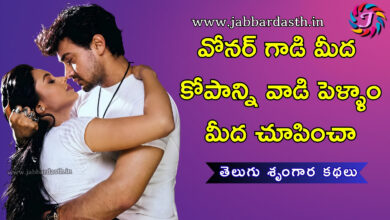 owner gaadi pai kopam tho vadi pellam pai