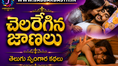 CHELAREGINA JAANALU Telugu stories category