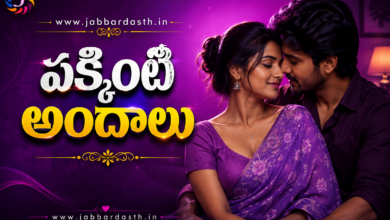 Pakkinti Andhalu Telugu Srungara Kathalu featured image