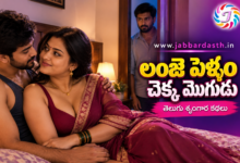Lanje Pellam Chekka Mogudu story lo Srinivas Padmaja mariyu Raghu characters