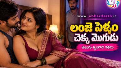 Lanje Pellam Chekka Mogudu story lo Srinivas Padmaja mariyu Raghu characters