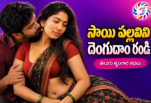 Sai Pallavini Dengudam Randi Telugu Srungara Katha featured image