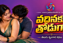 Vadinaku Thoduga Telugu Srungara Katha
